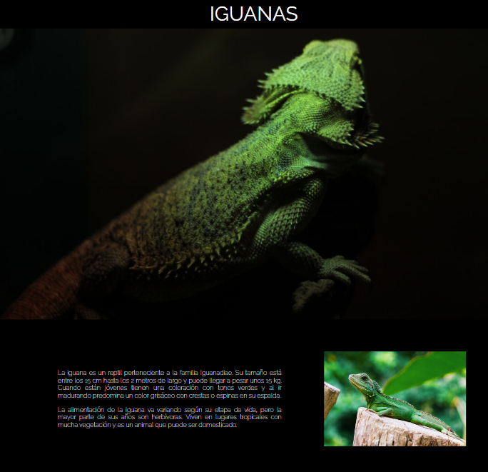 proyecto_iguanas